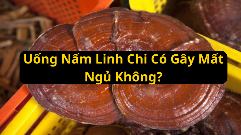 uống nấm linh chi có gây mất ngủ không?