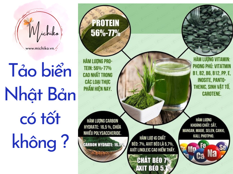 Michiko.vn - Tảo biển Nhật Bản có tác dụng gì? 