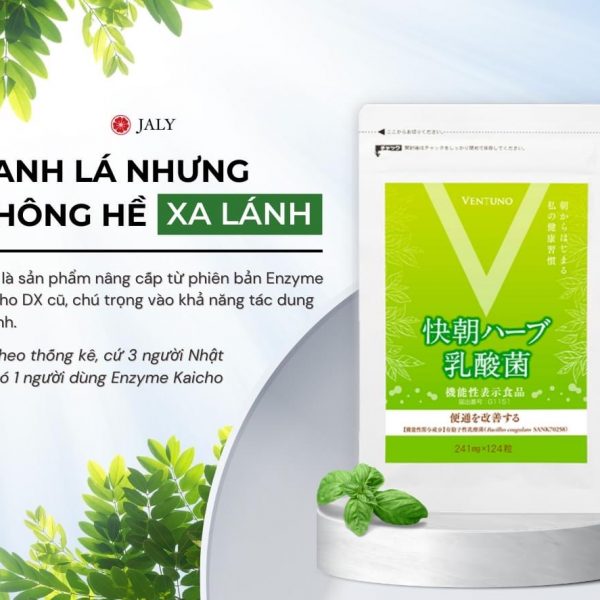 vien-ho-tro-giam-can-enzyme-fucoidan-kaicho-nhat-ban-24-vien-michiko.vn