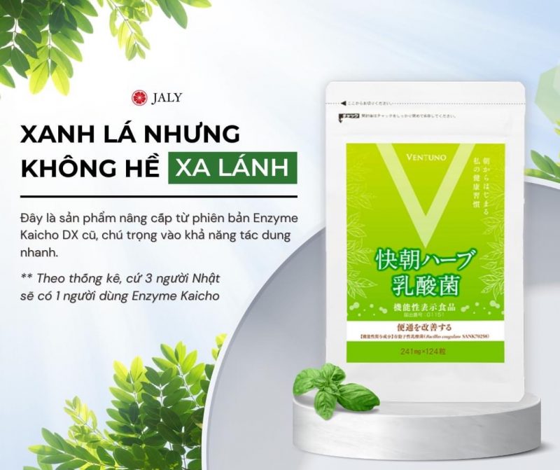 vien-ho-tro-giam-can-enzyme-fucoidan-kaicho-nhat-ban-24-vien-michiko.vn