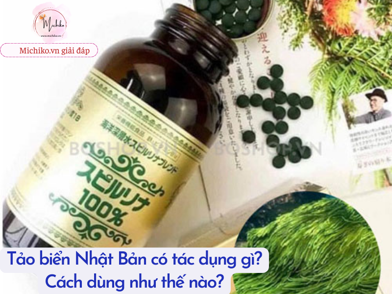Michiko.vn - Tảo biển Nhật Bản có tác dụng gì? 