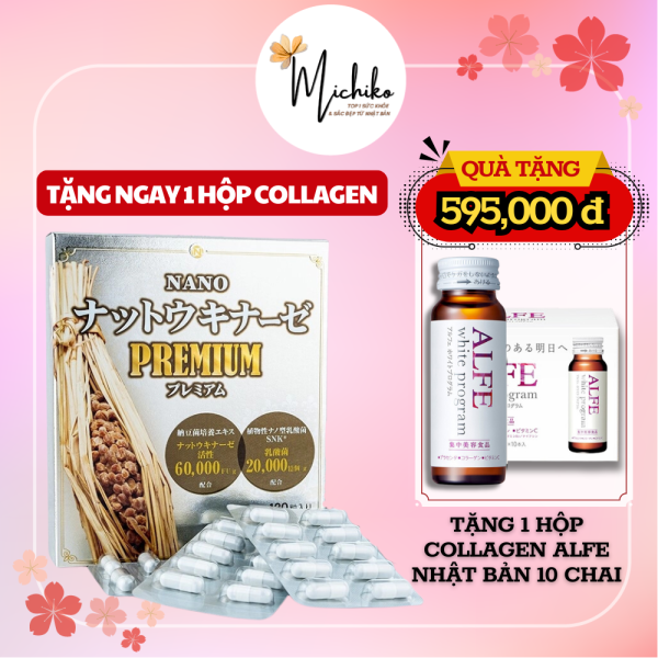 Viên Uống Hỗ Trợ Tai Biến Nichiei Bussan Nattokinase Nano 60,000 FUG 120 Viên Michiko vn