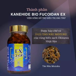 Viên Uống Hỗ Trợ Điều Trị Ung Thư Kanehide Bio Fucoidan EX Nhật Bản