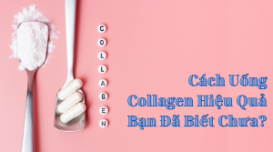 Cách Uống Collagen Dạng Nước, Bột, Viên Hiệu Quả Bạn Đã Biết Chưa