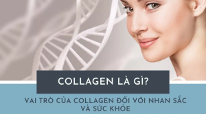 Collagen: Bí Mật Của Sức Khỏe Và Sắc Đẹp, Giải Mã Chức Năng Tuyệt Vời Cho Cơ Thể