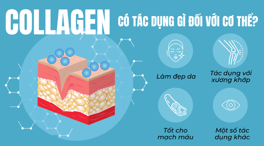 Collagen: Bí Mật Của Sức Khỏe Và Sắc Đẹp, Giải Mã Chức Năng Tuyệt Vời Cho Cơ Thể