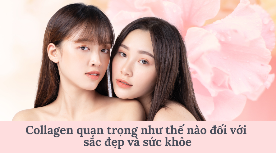 Collagen quan trọng như thế nào đối với sắc đẹp và sức khỏe