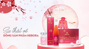 [Review Hebora] Dòng sản phẩm Hebora Có Thực Sự Tốt?