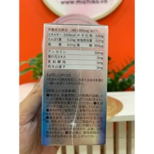 Viên Uống Hỗ Trợ Gút Nichiei Bussan Anserine Premium 120 viên