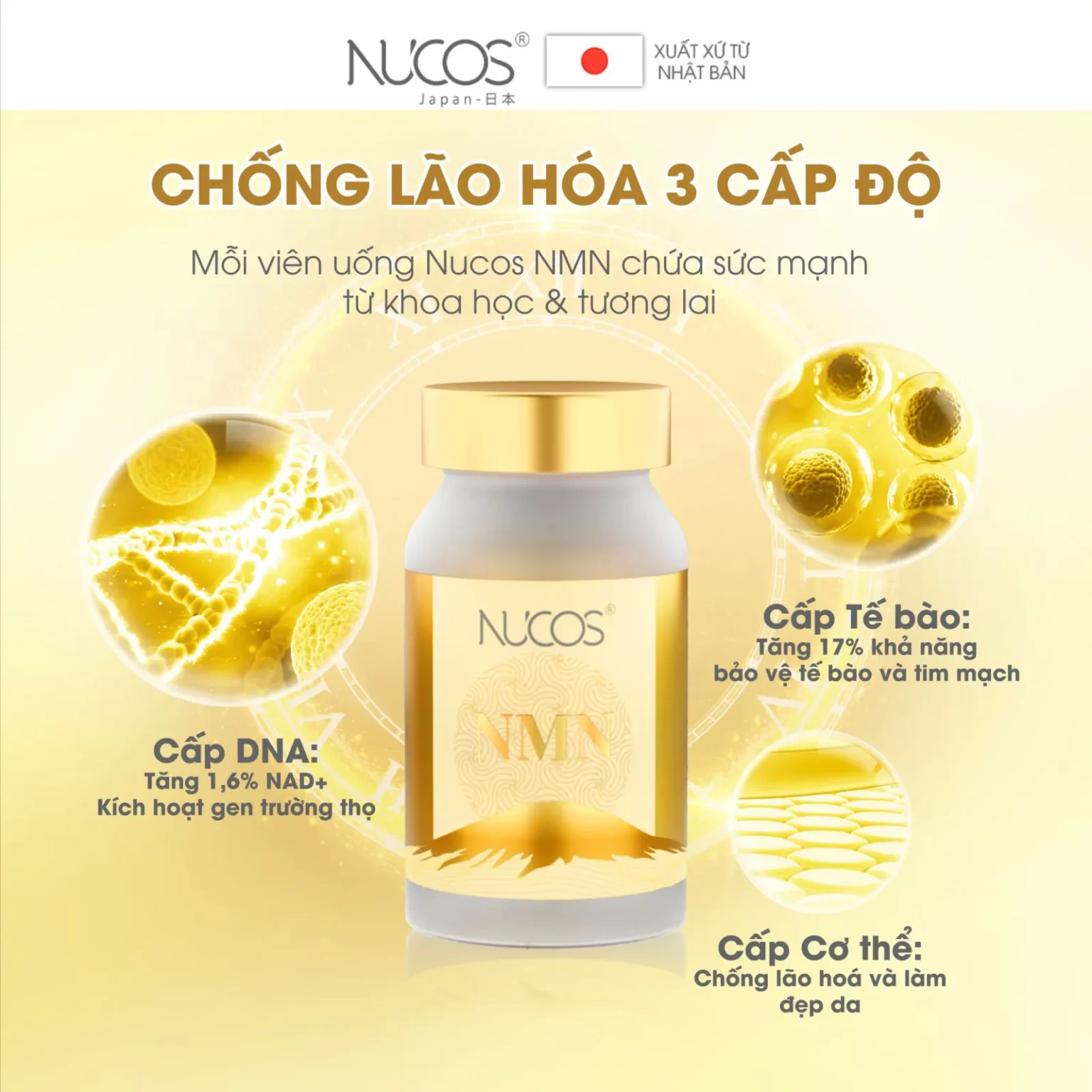 vien-uong-chong-lao-hoa-nucos-nmn-michiko.vn