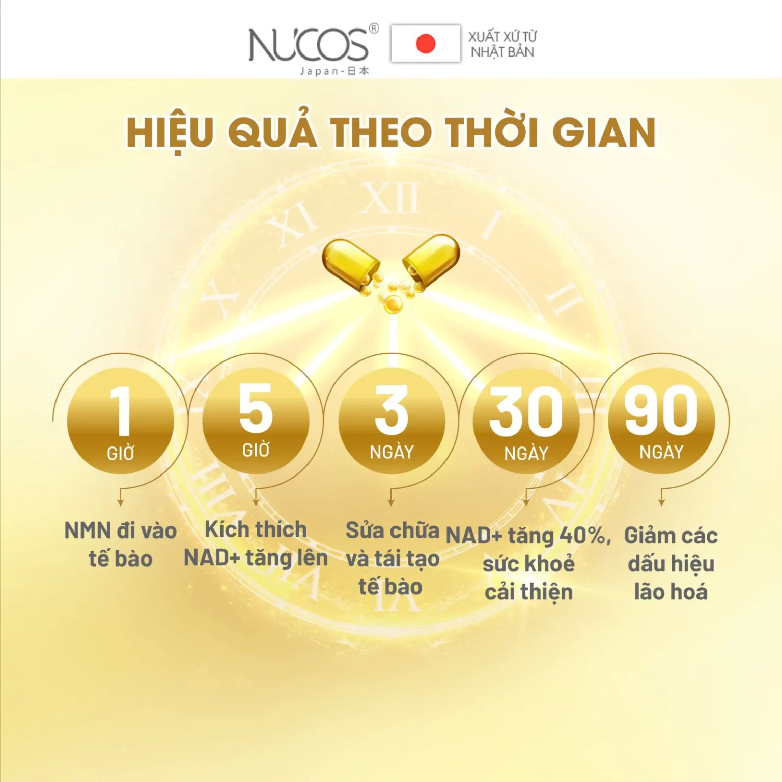 vien-uong-chong-lao-hoa-nucos-nmn-michiko.vn