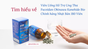 Viên Uống Hỗ Trợ Ung Thư Fucoidan Okinawa Kanehide Bio Chính hãng Nhật Bản 180 Viên