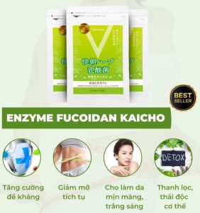 vien-ho-tro-giam-can-enzyme-fucoidan-kaicho-nhat-ban-248-vien-michiko.vn