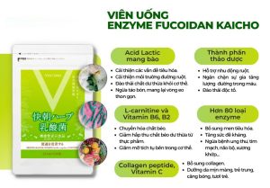 Viên Hỗ Trợ Giảm Cân Enzyme Fucoidan Kaicho 248 Viên