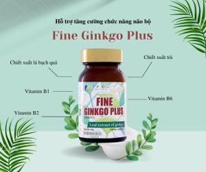 Viên Uống Bổ Não Fine Ginkgo Plus Nhật Bản 400 Viên