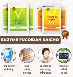 Enzyme Fucoidan Kaicho 248 Viên