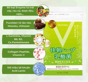 Enzyme Fucoidan Kaicho 248 Viên