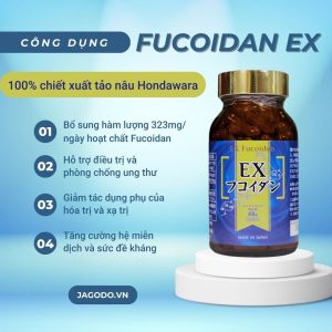 Viên Uống Hỗ Trợ Điều Trị Ung Thư Kanehide Bio Fucoidan EX Nhật Bản 150 Viên