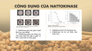 Viên Uống Nattokinase Premium 60.000FU Nichiei Bussan