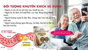 Viên Uống Nattokinase Premium 60.000FU Nichiei Bussan