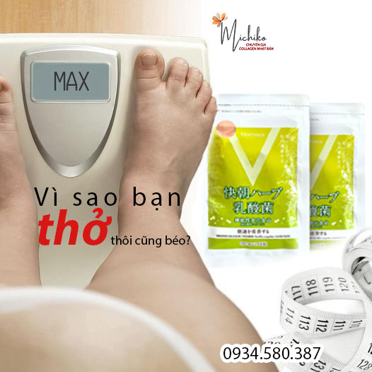 Bí ẩn khiến bạn “thở thôi cũng mập” đã được giải mã! Viên Hỗ Trợ Giảm Cân Enzyme Fucoidan Kaicho Nhật Bản 248 Viên