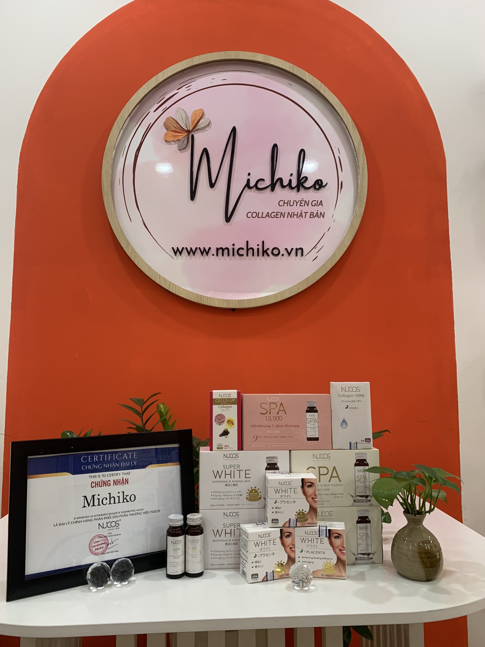 Nucos Michiko vn