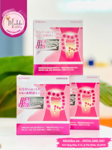 Bột Uống Men Lợi Khuẩn Nichiei Bussan Chou Beauty Queen Nhật Bản - Michiko.vn