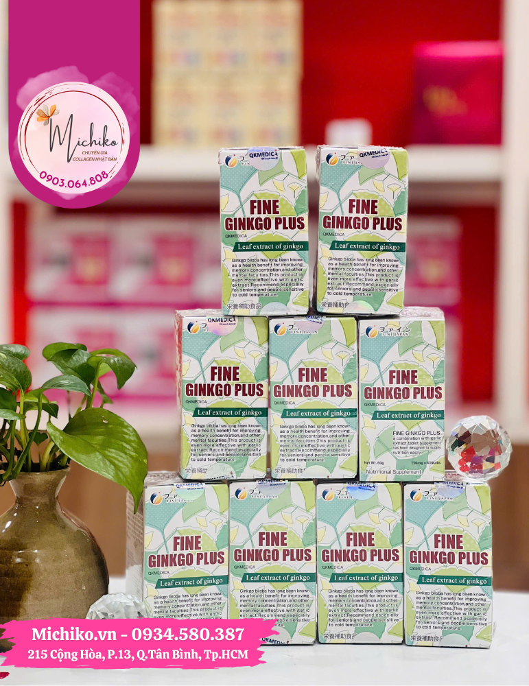 FINE GINKGO PLUS CÓ THẬT SỰ HIỆU QUẢ CHO NGƯỜI LỚN TUỔI, HỌC SINH VÀ DÂN VĂN PHÒNG KHÔNG?