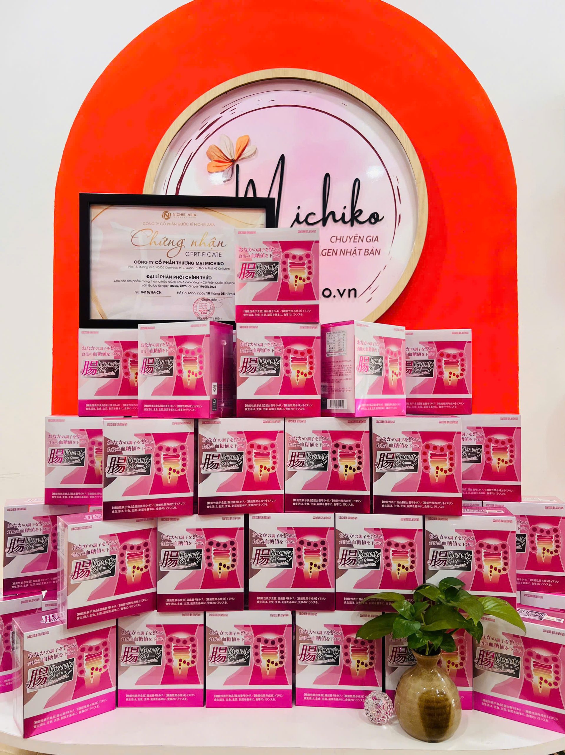 Men Inulin Nhật Bản Chou Beauty Queen Có Tốt Không? Đánh Giá Thực Tế Từ Người Đã Dùng